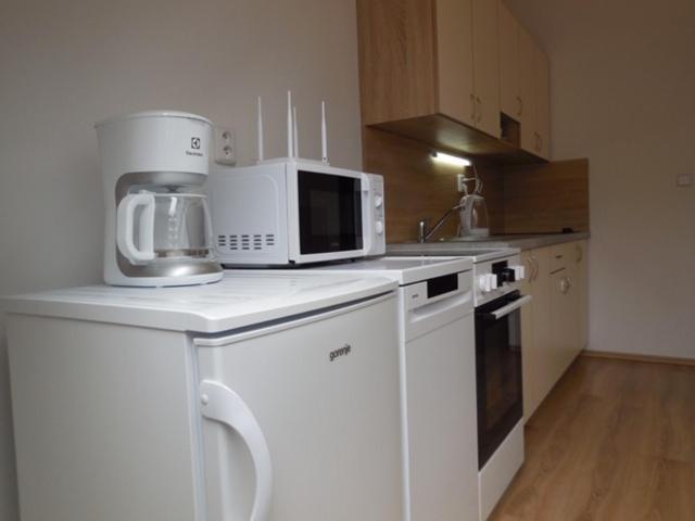 Apartman Kamenice Каменице над Липоу Екстериор снимка